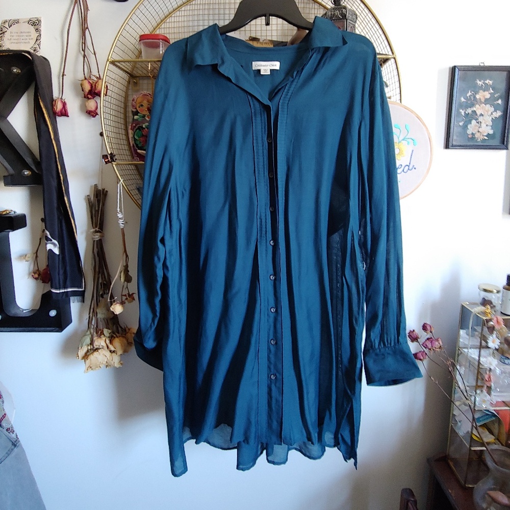 Plus size sheer blue top/dress